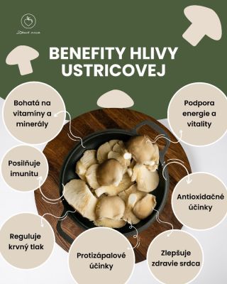 Hlíva ustricová, malý zázrak z prírody. 🍄‍🟫 Podporí imunitu, zníži tlak a pomôže vám cítiť sa lepšie. 💪 Ideálna do...